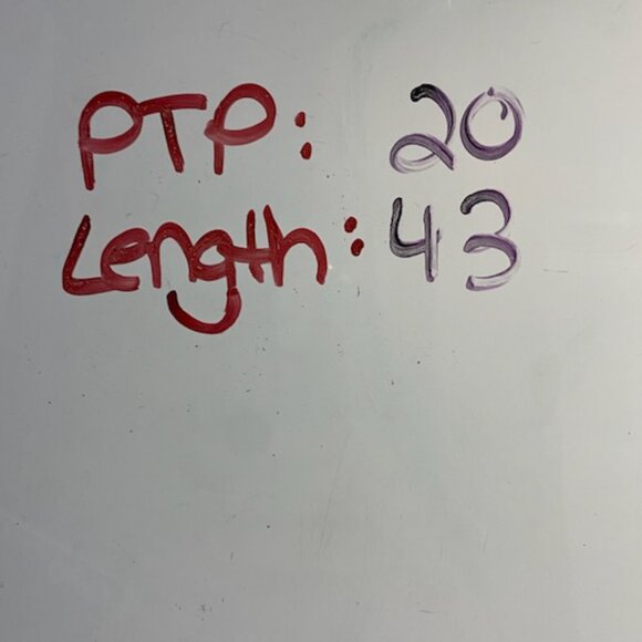 PAPER DOLLS Womens Reggie Dress Toile Print Cream Blue Size L Feminine Coquette - Picture 10 of 10